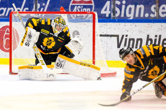 Skellefteås målvakt Mantas Armalis