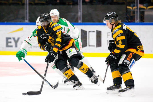 Skellefteås Edwin Hedberg och Tim Söderlund