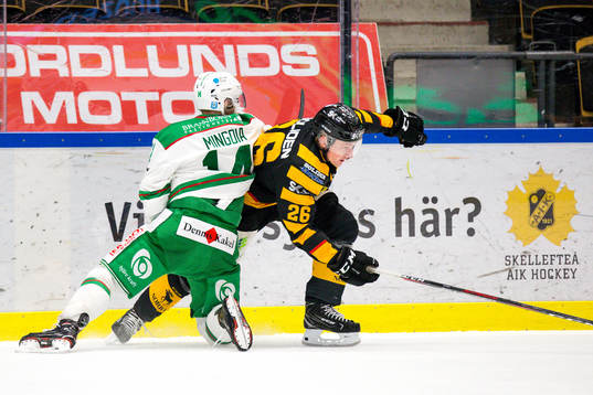 Skellefteås Patrik Norén