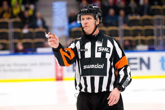 Domare Mikael Andersson