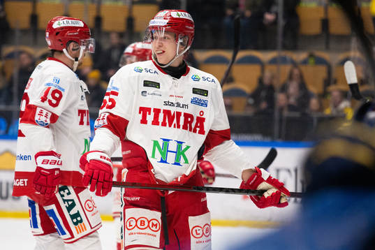 Timrås Vilmos Gallo