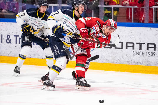 s Isac Brännström och Christoffer Törngren och Moras