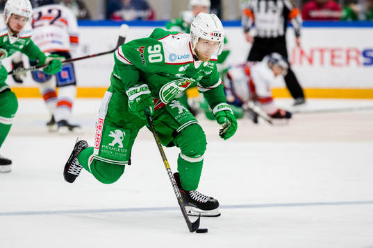 Rögles Ted Brithén