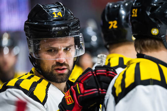 Brynäs Johan Alcén