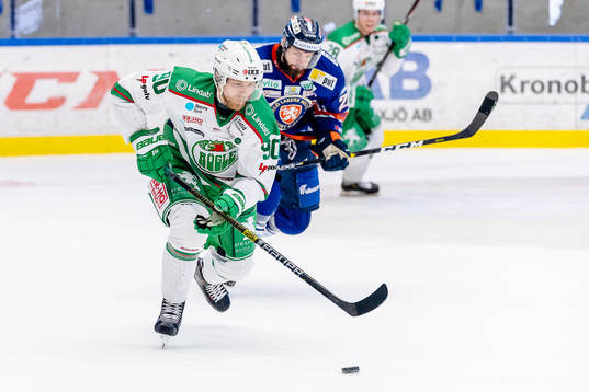 Rögles Ted Brithén