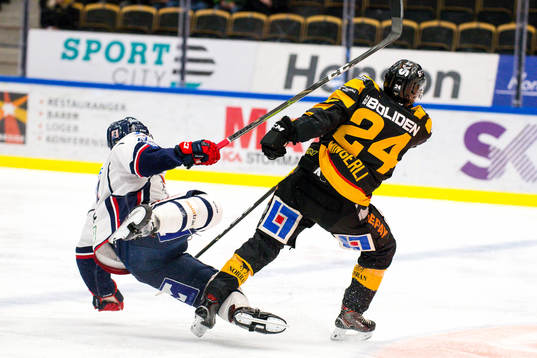 Skellefteås Andreas Wingerli