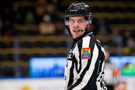 Linjedomare Tobias Nordlander