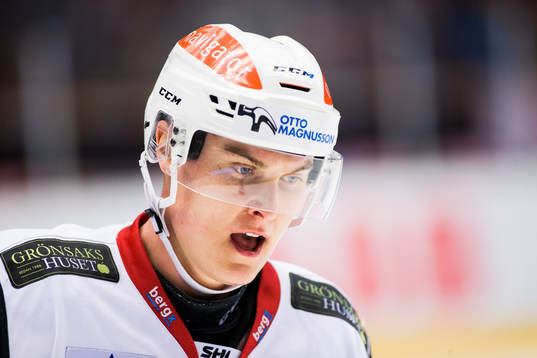 Malmö Redhawks Fredrik Händemark deppar
