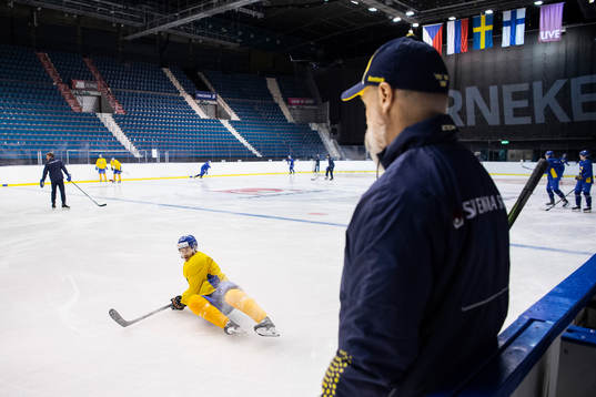Förbundskapten Rikard Grönborg