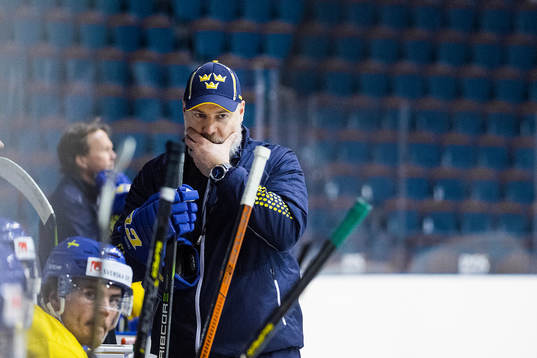 Förbundskapten Rikard Grönborg