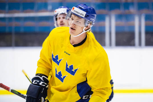Emil Sylvegård