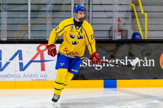 Sveriges Daniel Torgersson