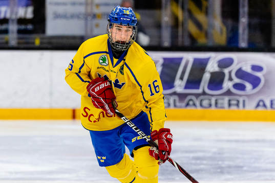 Sveriges Daniel Torgersson
