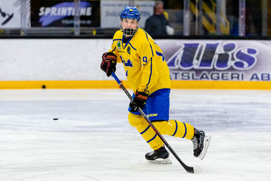 Sveriges Alexander Ljungkrantz