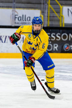 Sveriges Theo Nordlund
