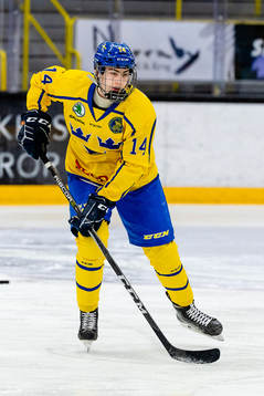 Sveriges Daniel Ljungman
