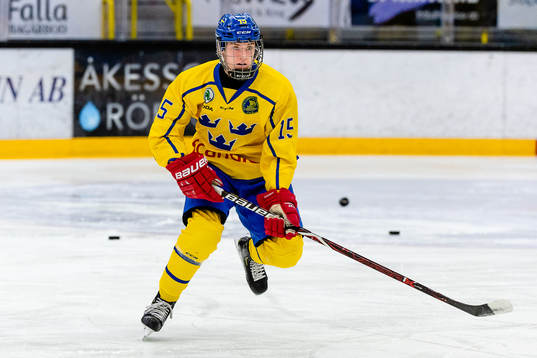 Sveriges Filip Barklund