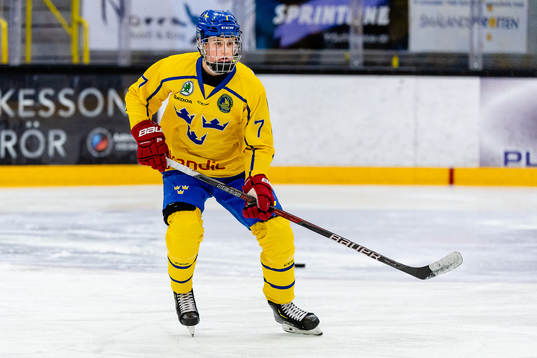 Sveriges Hugo Styf