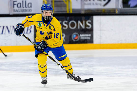 Sveriges Elliot Ekmark