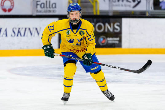 Sveriges Samuel Eriksson