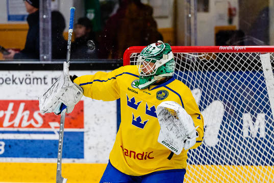 Sveriges målvakt Calle Clang