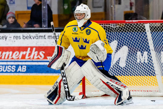 Sveriges målvakt Hugo Ollas