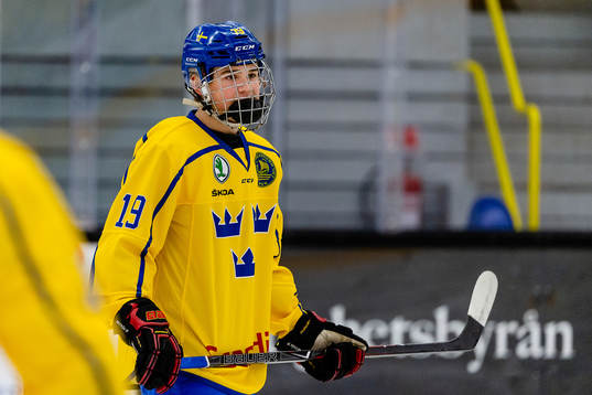 Sveriges Alexander Ljungkrantz