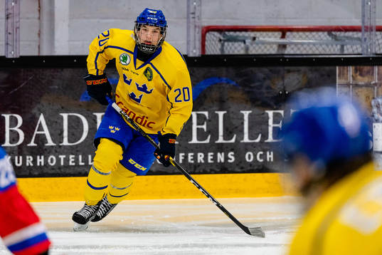 Sveriges William Eklund