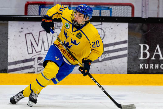 Sveriges William Eklund