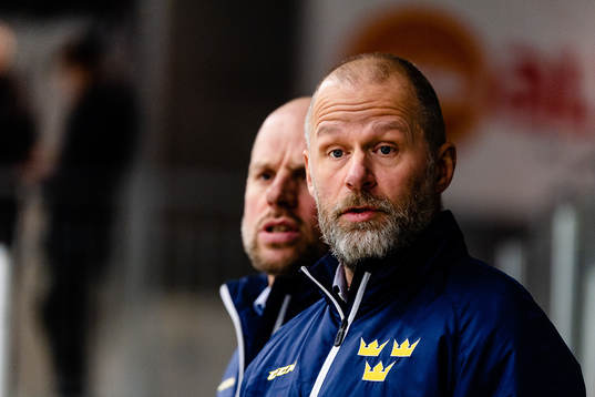 Sveriges huvudtränare Markus Åkerblom