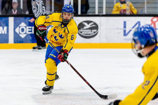 Sveriges Theo Nordlund