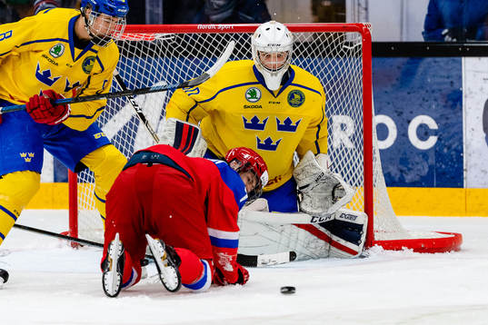 Sveriges målvakt Hugo Ollas