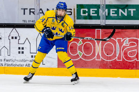 Sveriges Daniel Ljungman