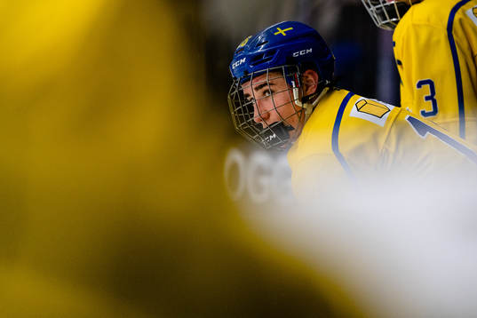 Sveriges Daniel Torgersson