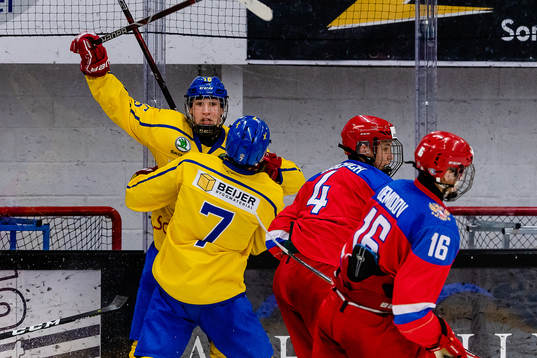 Sveriges Daniel Torgersson jublar