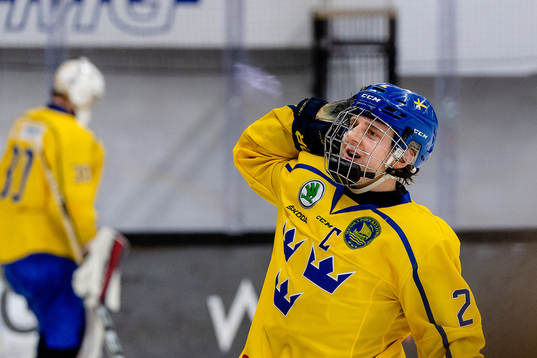Sveriges Emil Andrae jublar