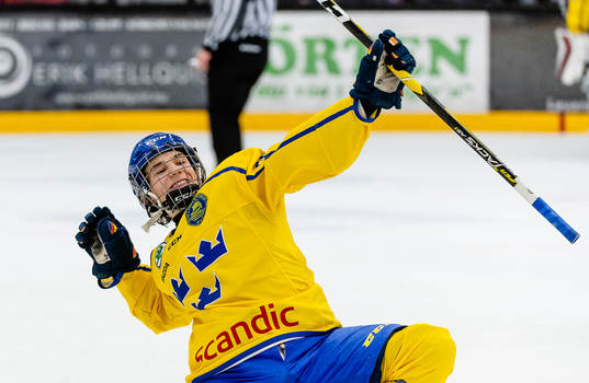 Sveriges William Eklund jublar