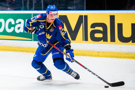 Fredrik Händemark  of Sweden