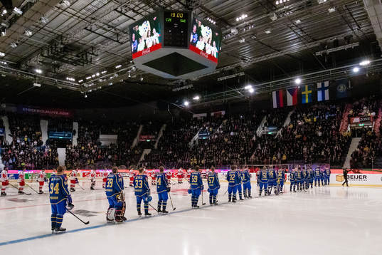 Players of Sweden