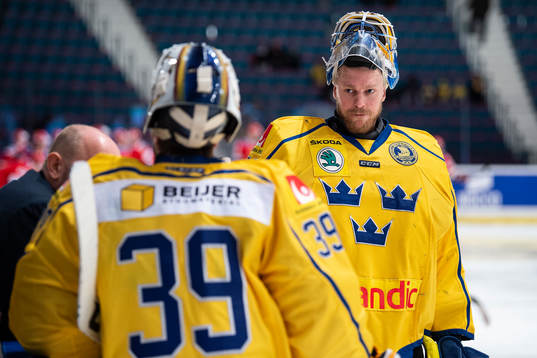 goaltender Magnus Hellberg of Sweden (r) talking to