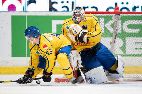 Tom Nilsson of Sweden and goaltender Adam Reideborn of