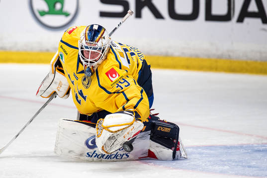 goaltender Adam Reideborn of Sweden