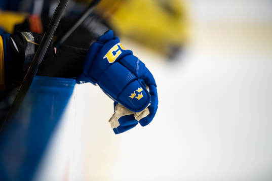 A glove from the Swedish bench