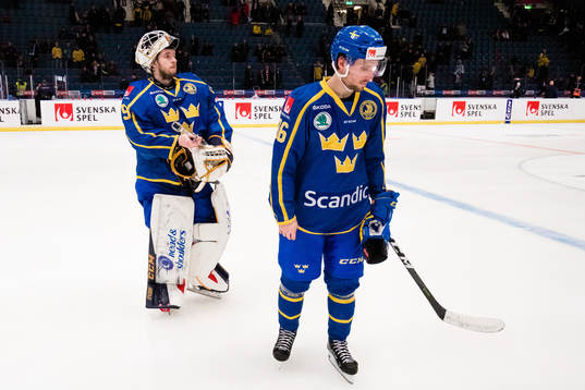 Goaltender Adam Reideborn and Mathias Bromé looks dejected