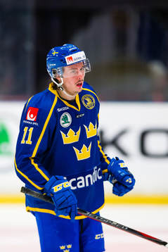 Joakim Nygård of Sweden
