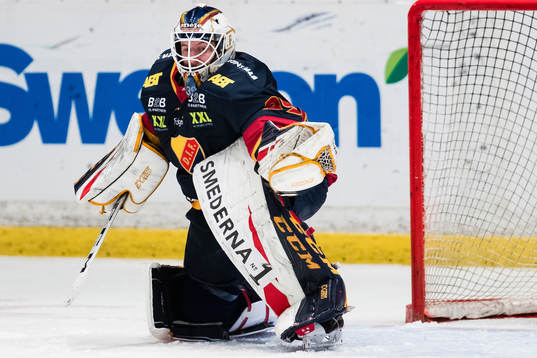 Djurgårdens målvakt Adam Reideborn