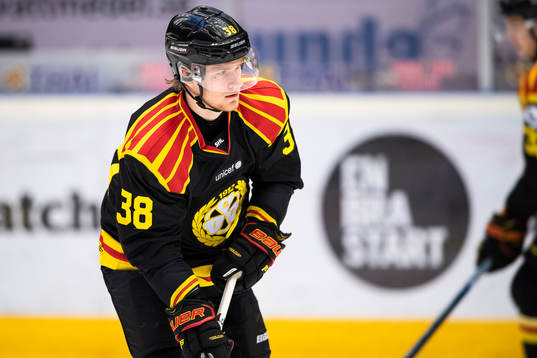 Brynäs Adrian Elefalk