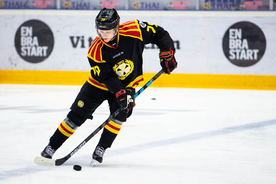 Brynäs Daniel Mannberg