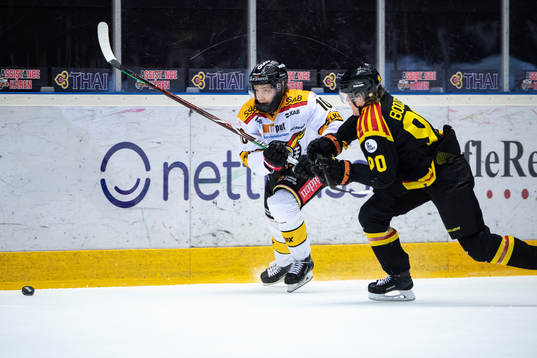 Luleås Einar Emanuelsson och Brynäs Jesper Boqvist