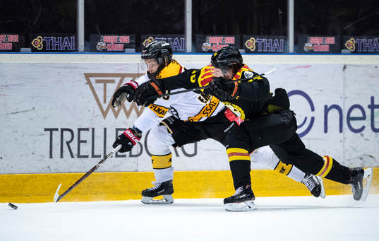 Luleås Einar Emanuelsson och Brynäs Jesper Boqvist